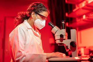 Life After Death for the Human Eye: Vision Scientists Revive Light-Sensing Cells in Organ Donor Eyes image