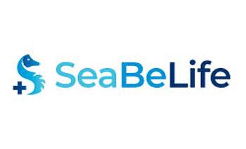 SeaBeLife Reports Promising In Vivo Results for it Ophthalmic Gel Candidate for GA image