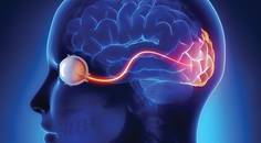 How to Spot a Neurologic Condition