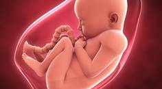 Amniotic Membrane Use in OD MD Collaboration