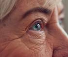 geriatric eye