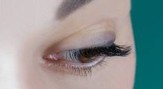 When Lashes Harbor Invaders