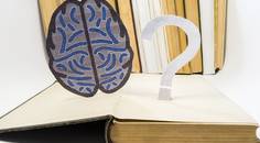 When to Refer to a Neuro Optometrist