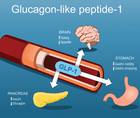 Glucagon Like Peptide 1 Receptor Agonists and the Eye