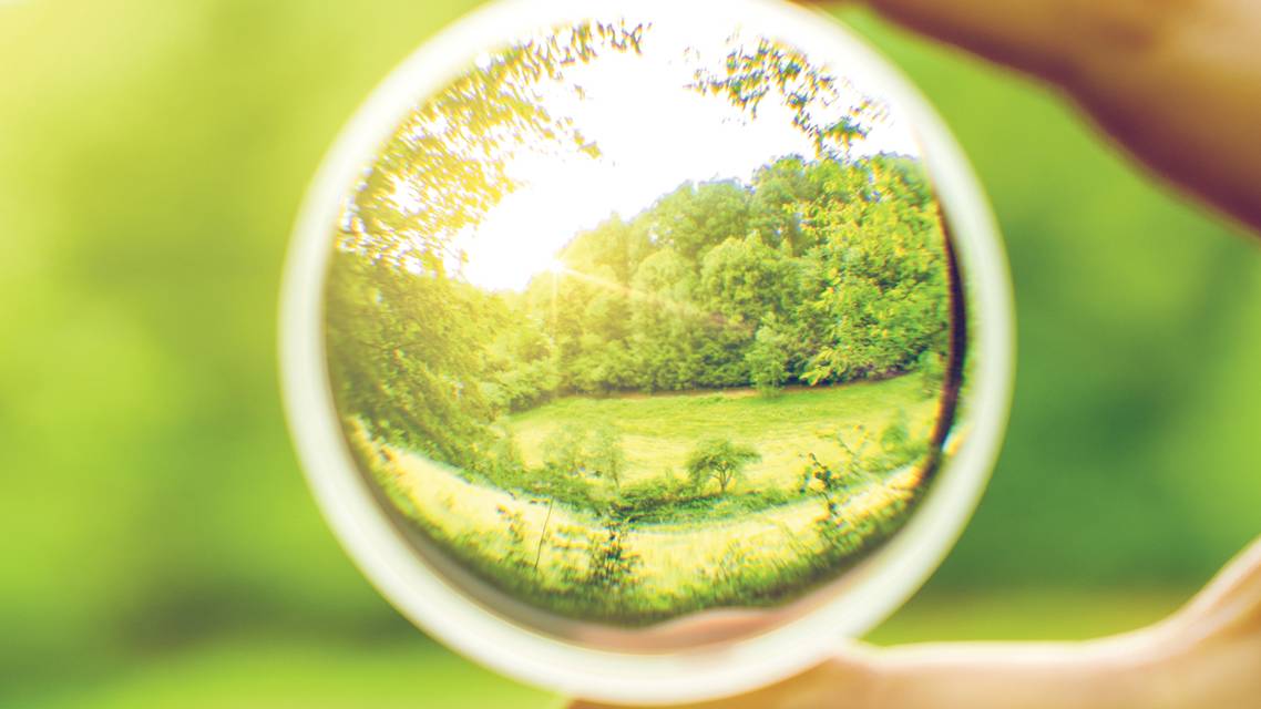 Specialty Lenses for Vision Rehabilitation