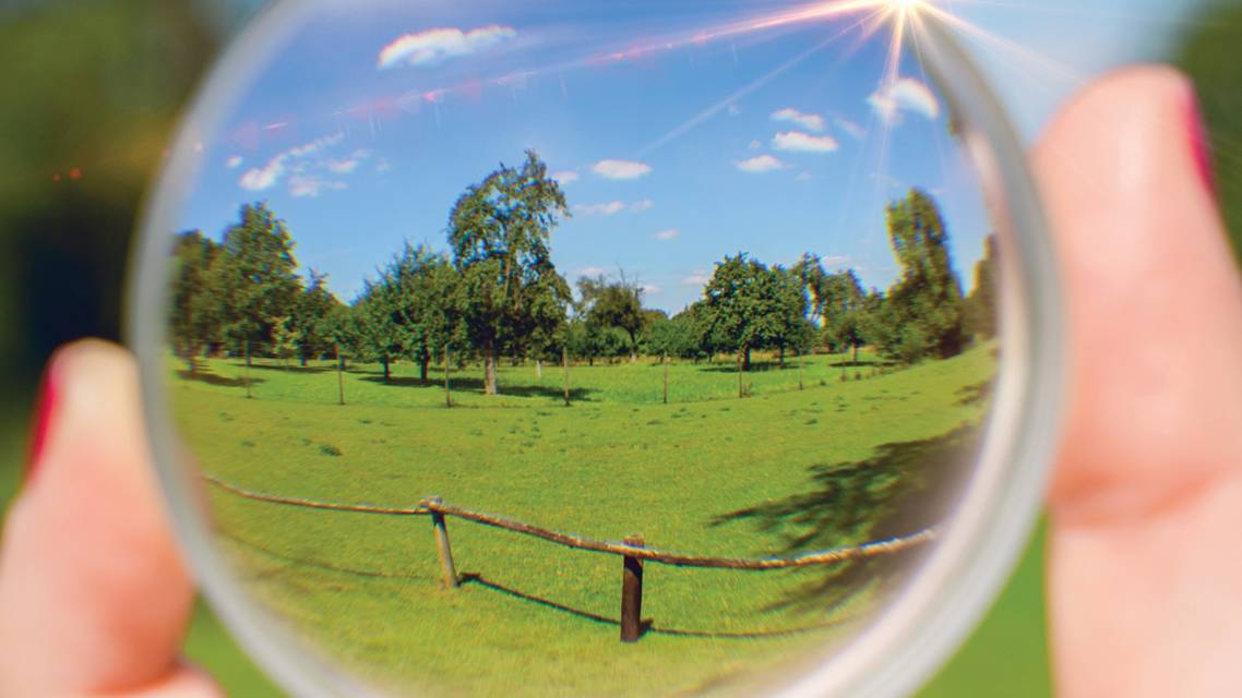 Consensus in Myopia Management