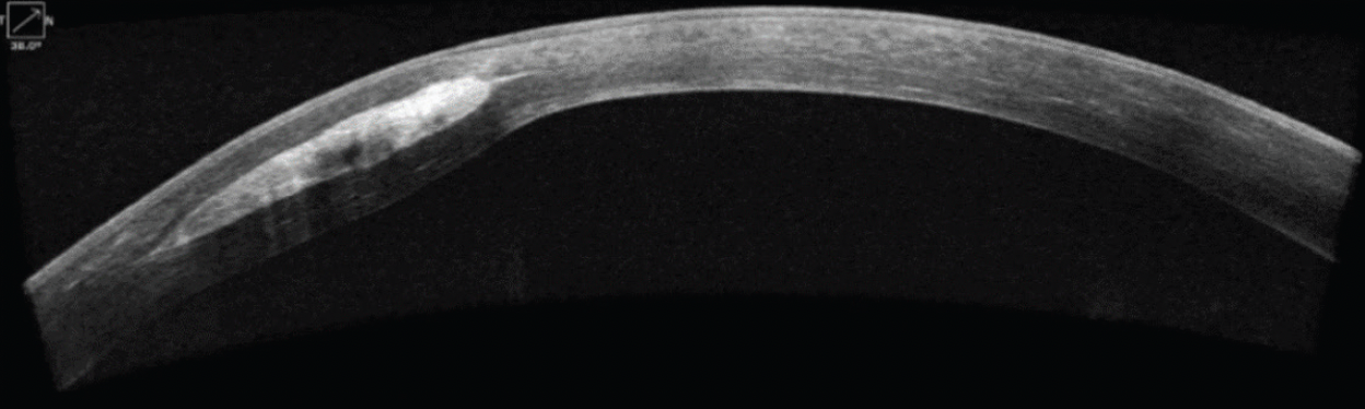 A New Multifaceted Approach to the Holistic Management...