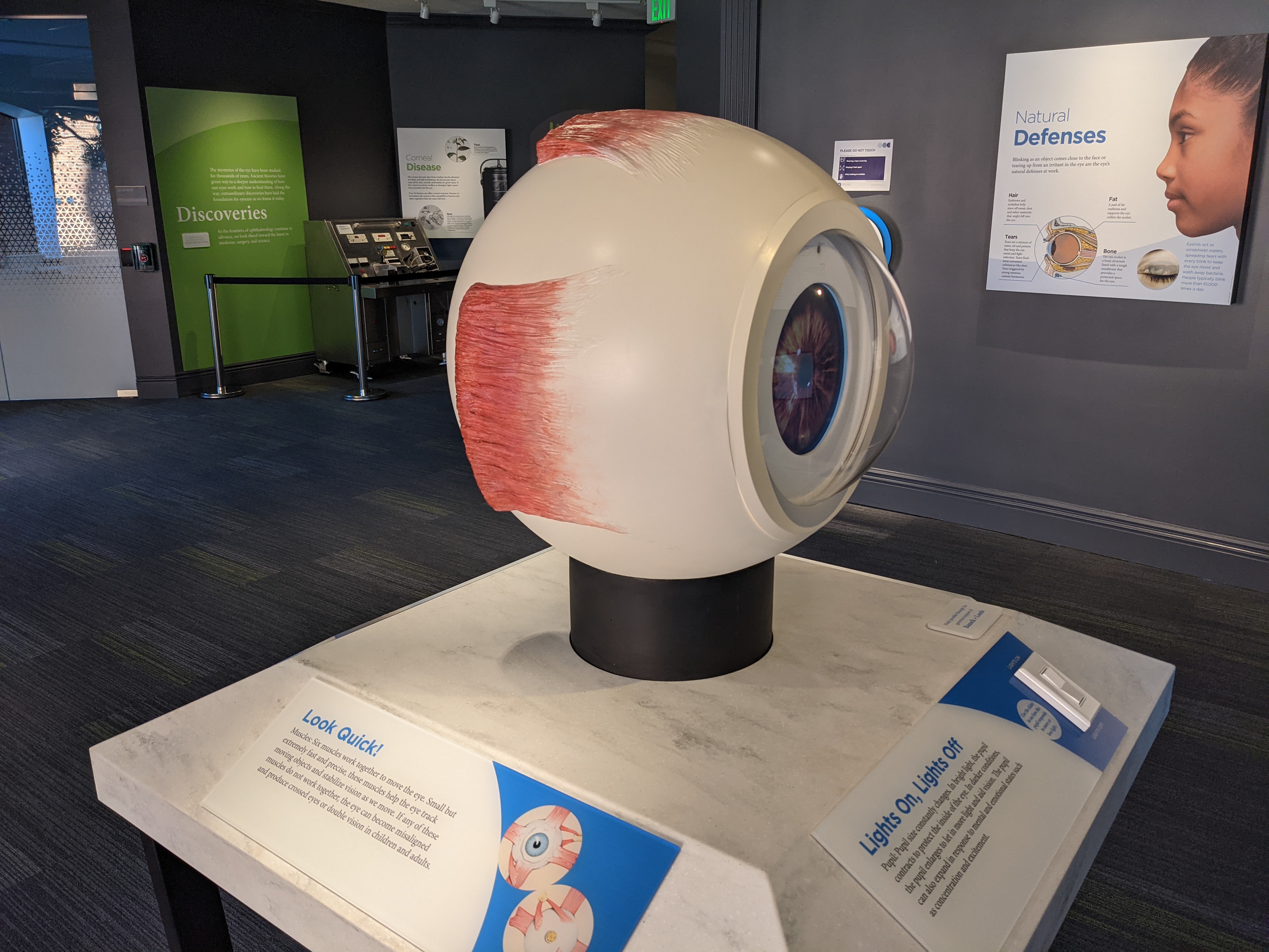 New Museum of the Eye Exhibit Explores the Eye as a Cultural Symbol